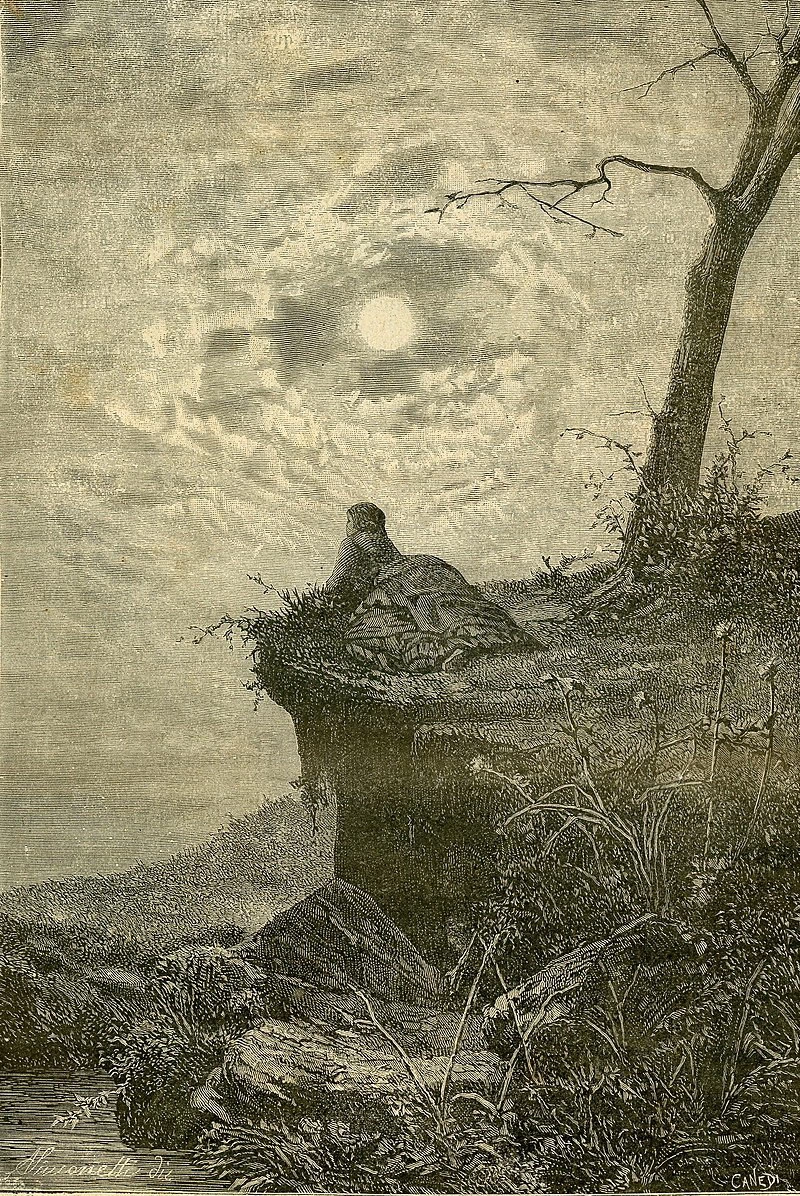 Aspettazione